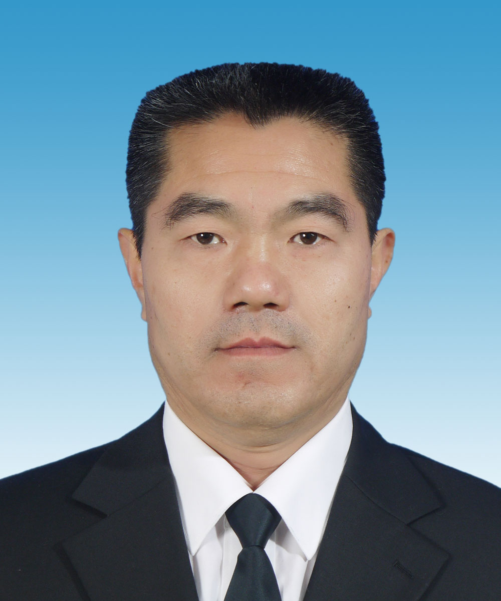 市政务服务管理局党组成员，三级调研员：黄佳